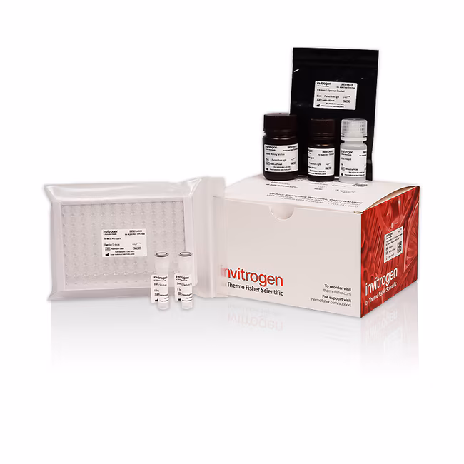 Glutathione Peroxidase (GSH-PX) assay kit (48 T)