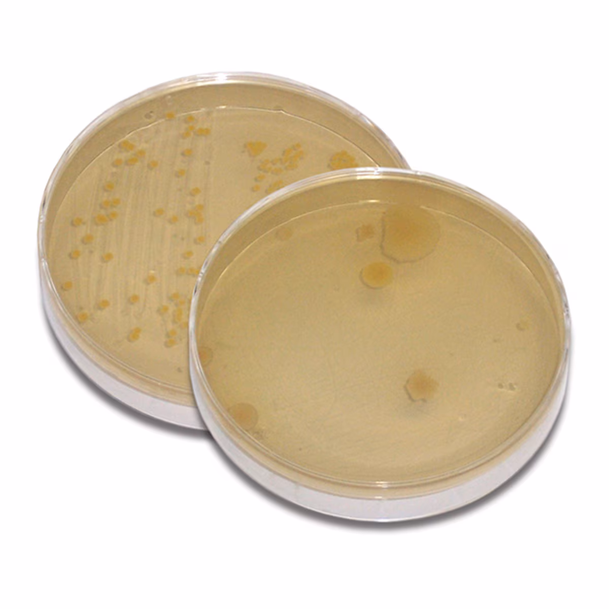 How Clean is the Water We Drink and the Air We Breathe?