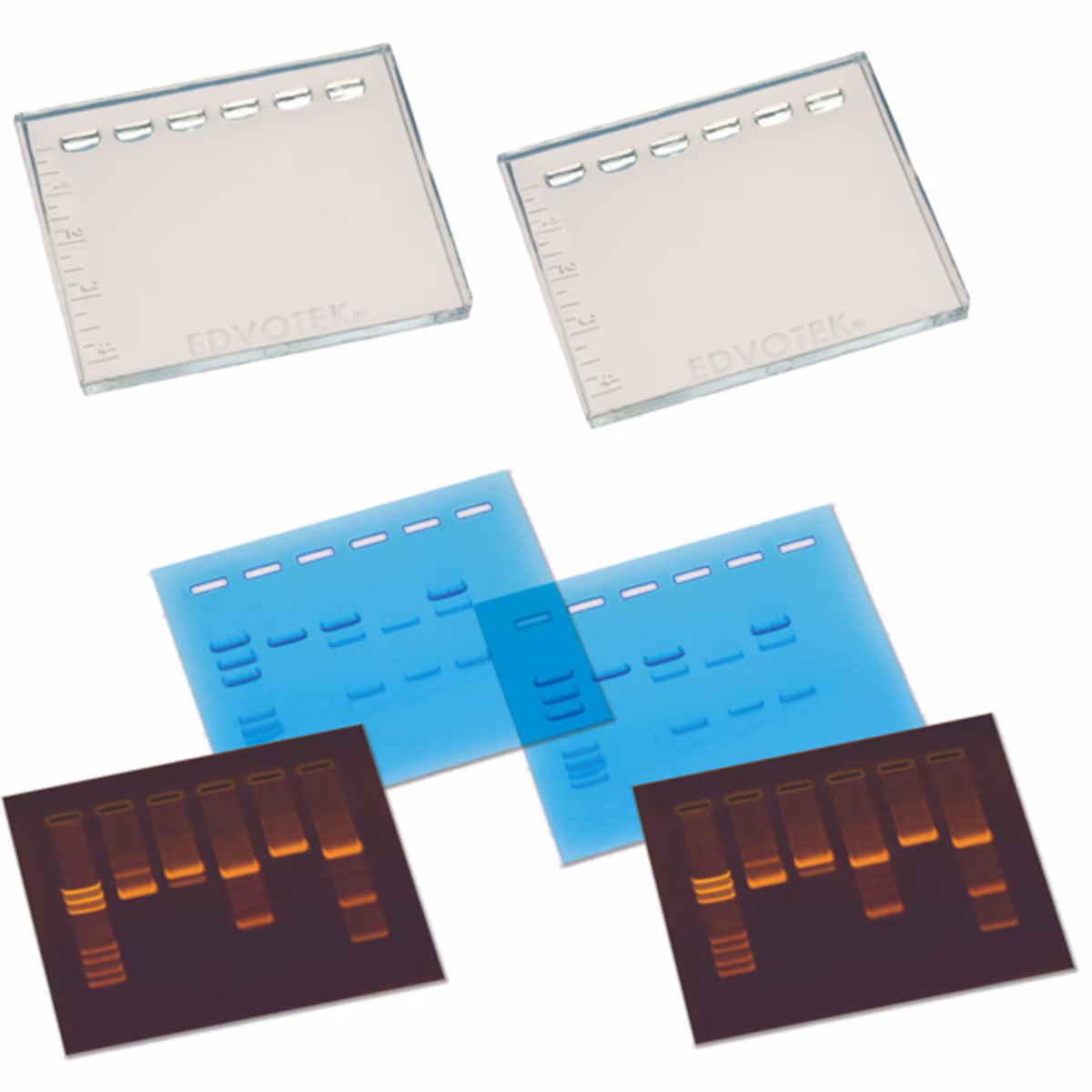 DNA DuraGel™ (for 2 Gels)