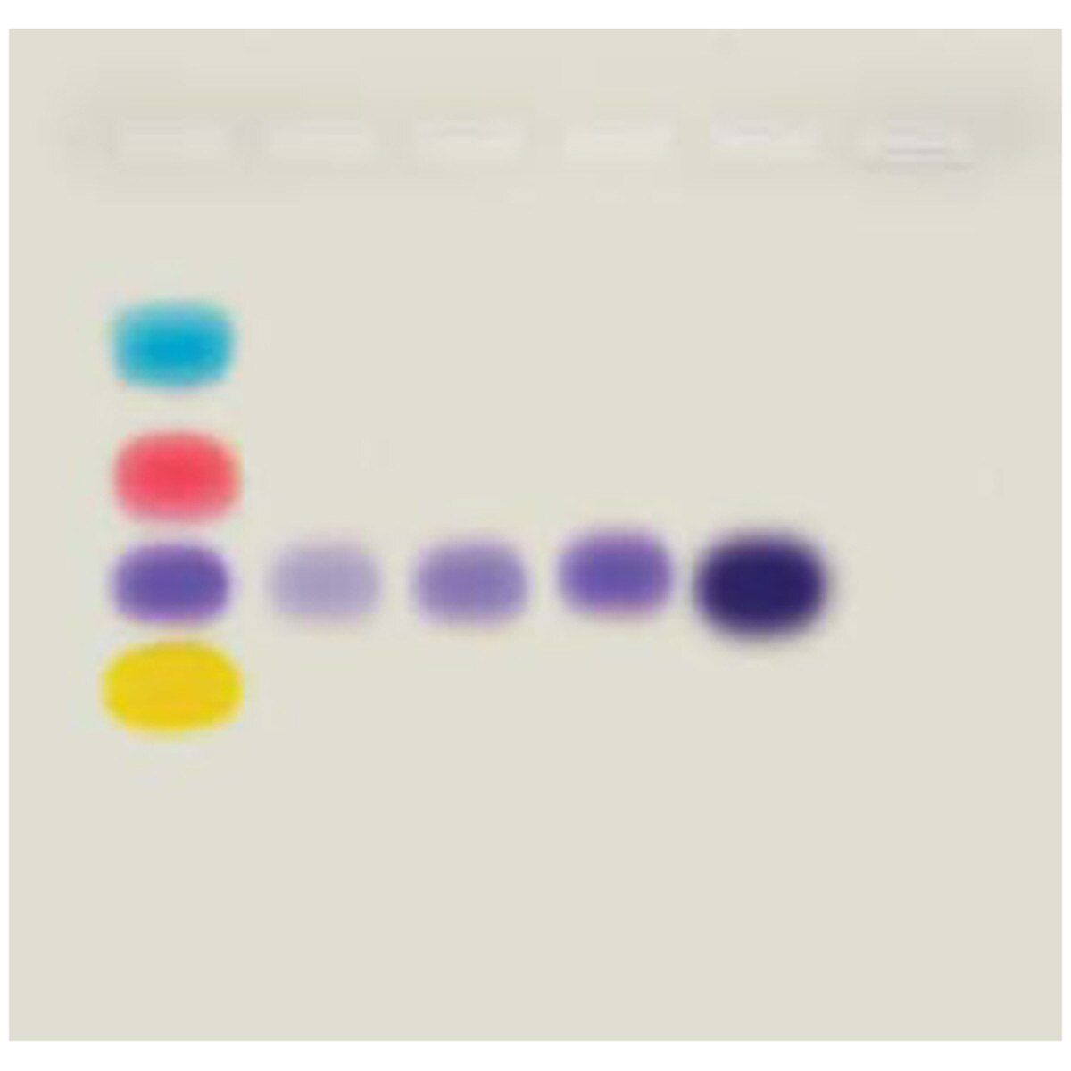 What Is PCR and How Does It Work?
