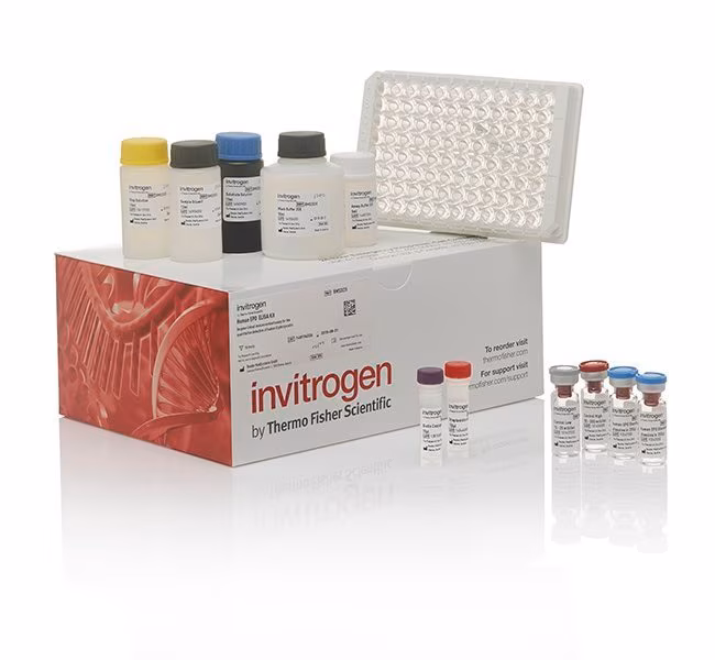 Nitric oxide (NO) assay kit (Reduction method) (48 T)