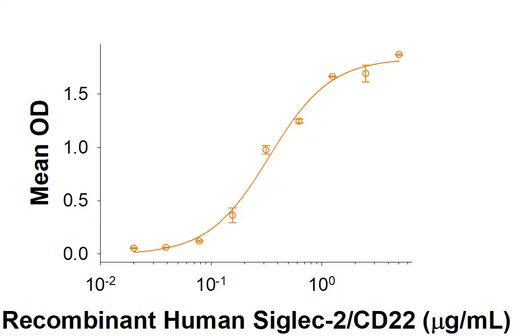 Recombinant Human CD22 Protein (His-tag) (10 µg)