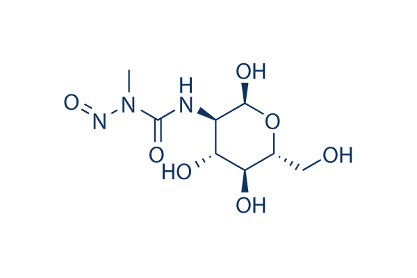Streptozocin STZ (100 mg)