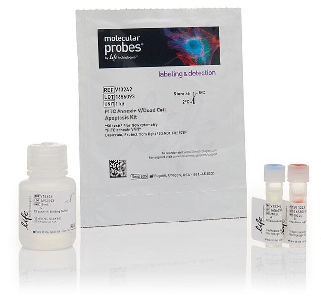 Annexin V-FITC/PI Cell Apoptosis Detection Kit (50T)