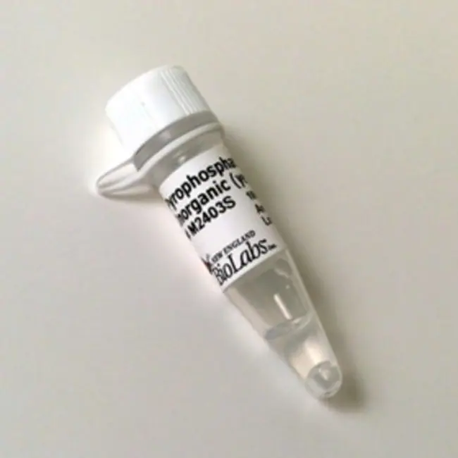 Inorganic Pyrophosphatase (Yeast) (100 U)