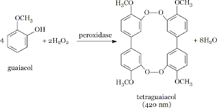 Guaicol Peroxidase