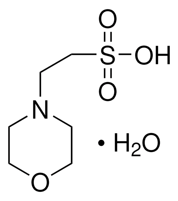 2-(N-Morpholino)ethanesulfonic acid monohydrate (MES·H2O) (25 g)