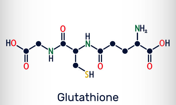 Glutathione Reductase