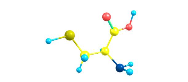 Butyryl Choline Esterase