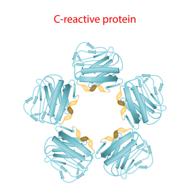 C-Reactive Protein