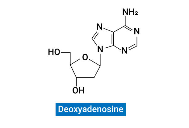 8hydroxy-2-dexoxygonosine