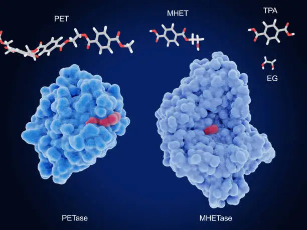 Protease Inhibitors