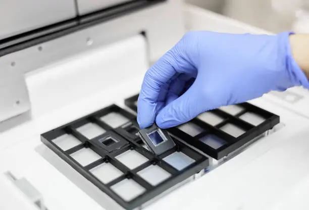 Cell Culture Toxicity Screening