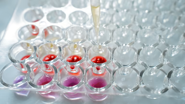 Superoxide Radical Scavenging Assay