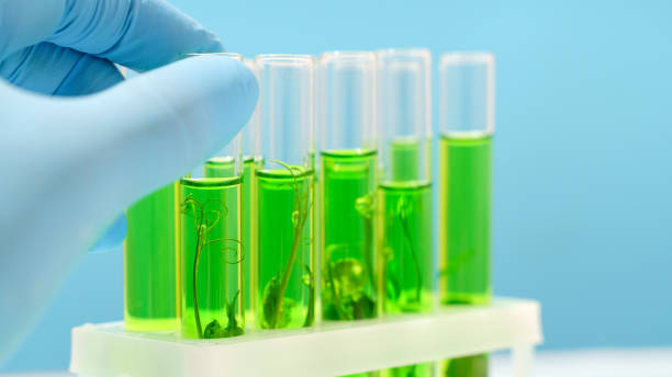 unsaponification value