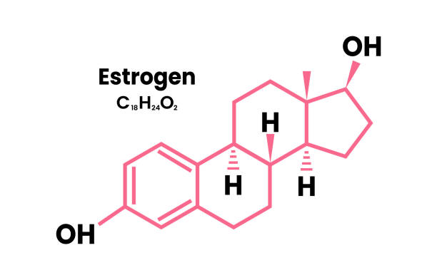 Oestrogen