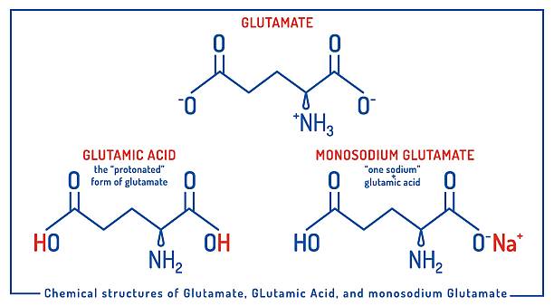 Glutamate dehydrogenase activity