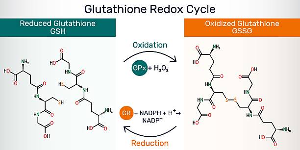 Reduced Glutathione