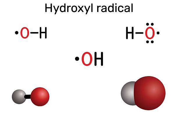 Hydroxy Radical Scavenging Assay