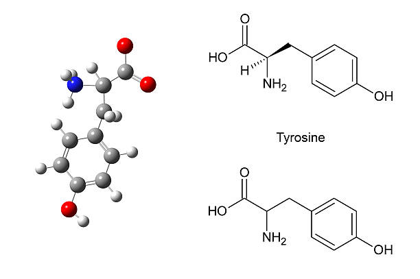 Tyrosinase inhibition