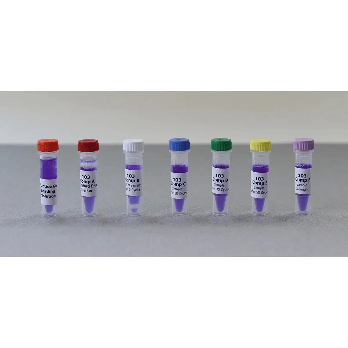 Bulk Replenisher (24 Groups) - Expt. 103