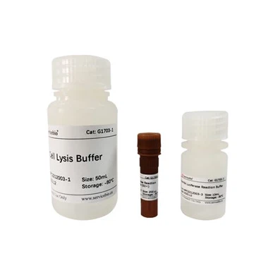 Mono-Lumi Renilla Luciferase Reporter Gene Assay Kit (100T)