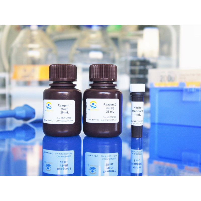 Nitric Oxide (NO) Assay Kit (Reduction Method) (96T)