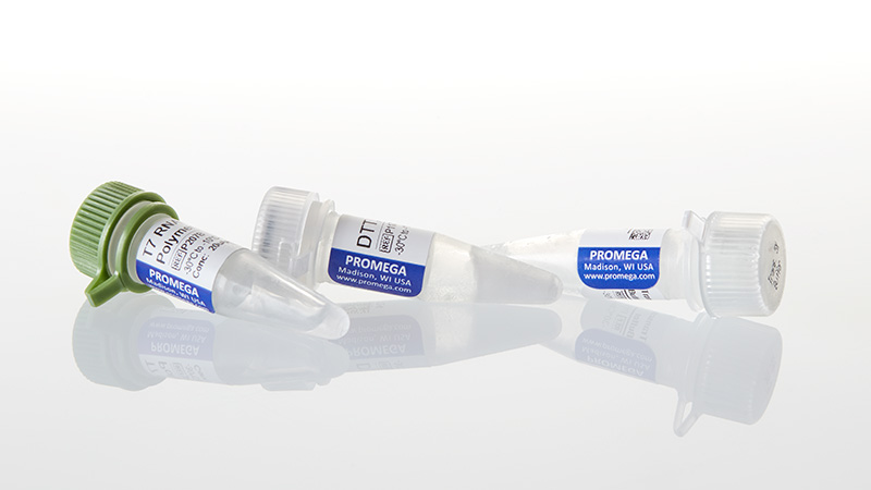 T7 RNA polymerase (5000 U)