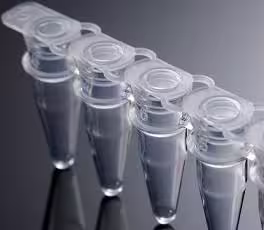 White PCR 8-strip Tube, 200 µL, with Cap (125 sets/box, 10 boxes/ctn)