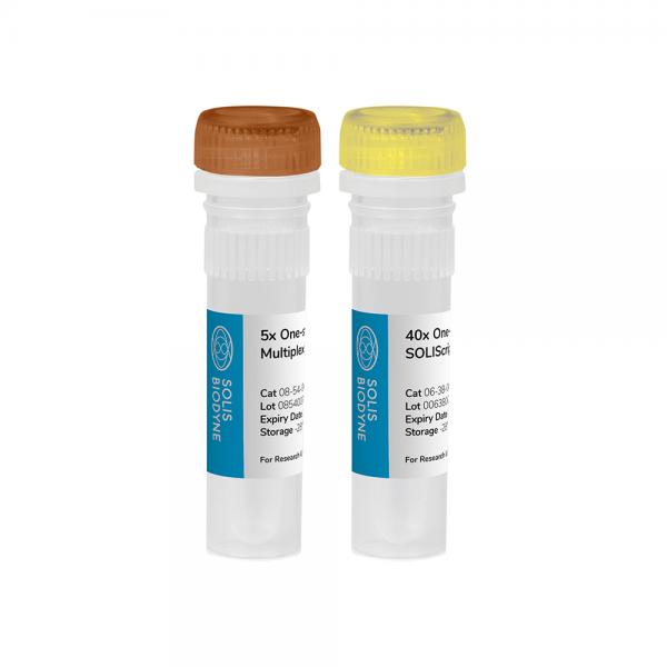 SOLIScript® 1-step Probe Kit