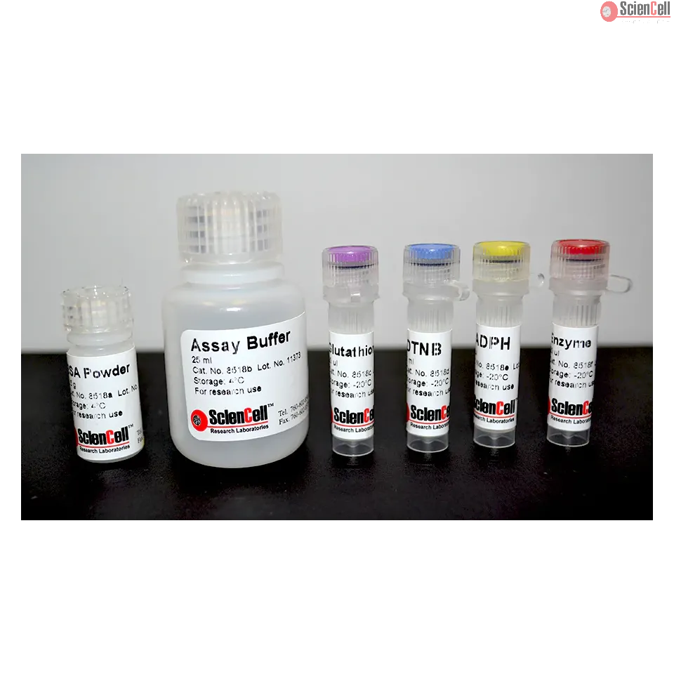 Total Glutathione / Oxidized Glutathione Assay Kit (48T)