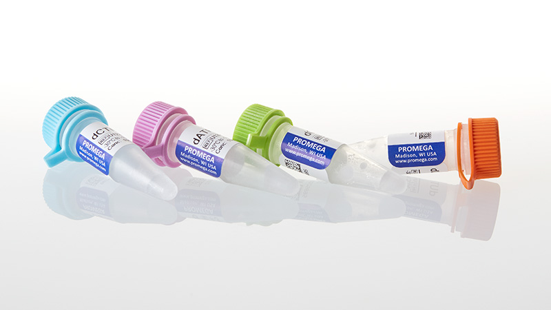 dNTPs Solution Kit (dATP, dGTP, dCTP, dTTP, 100 mM each) (4×400 µL)