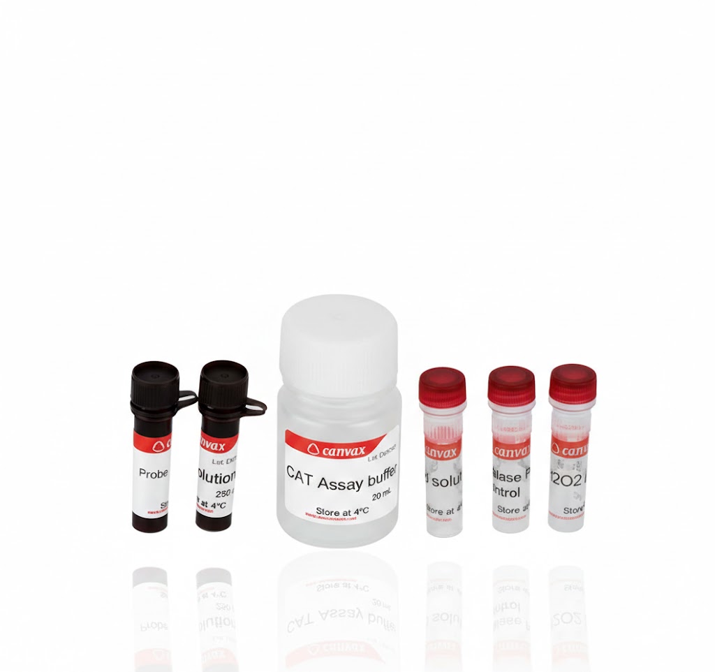 Catalase (CAT) Activity Assay Kit (48T)