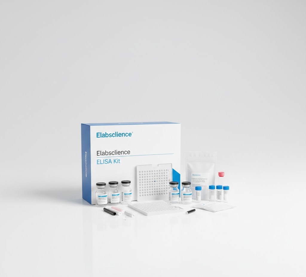 ATP Assay Kit (Chemiluminescence) (48T)