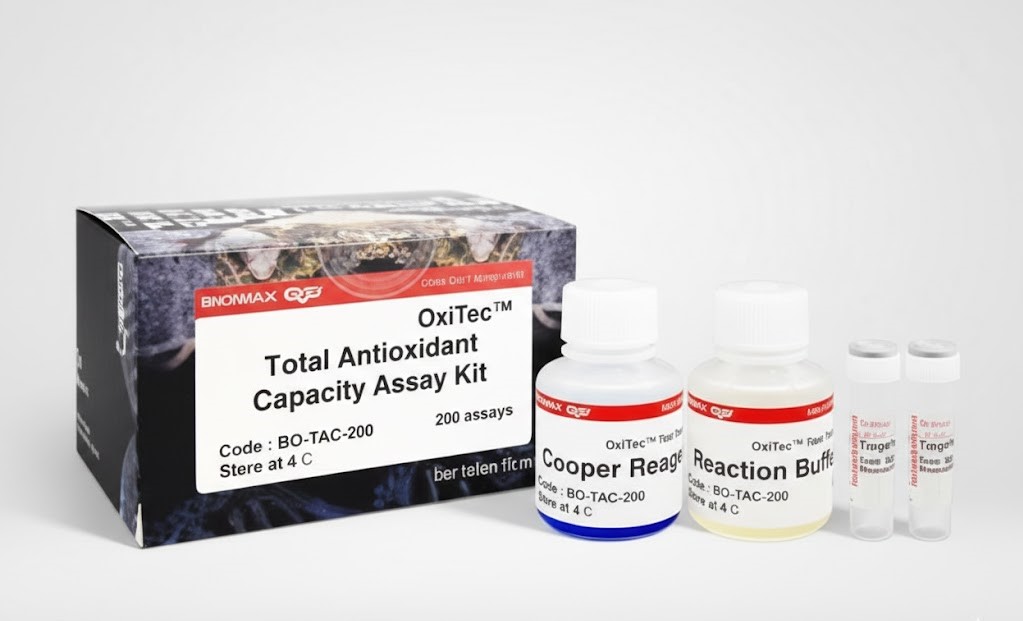 Total Antioxidant Capacity Assay Kit (ABTS Method) (48T)
