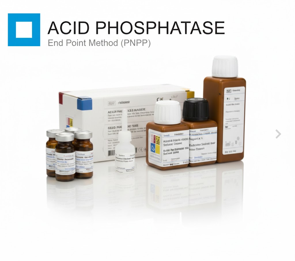 Acid Phosphatase Assay Kit (pNPP Substrate) (48T)