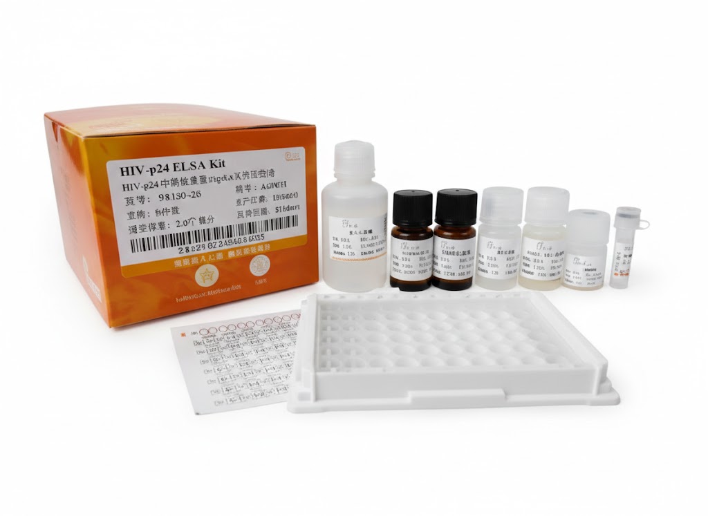 HIV‑1 Gag p24 ELISA Kit (48T)