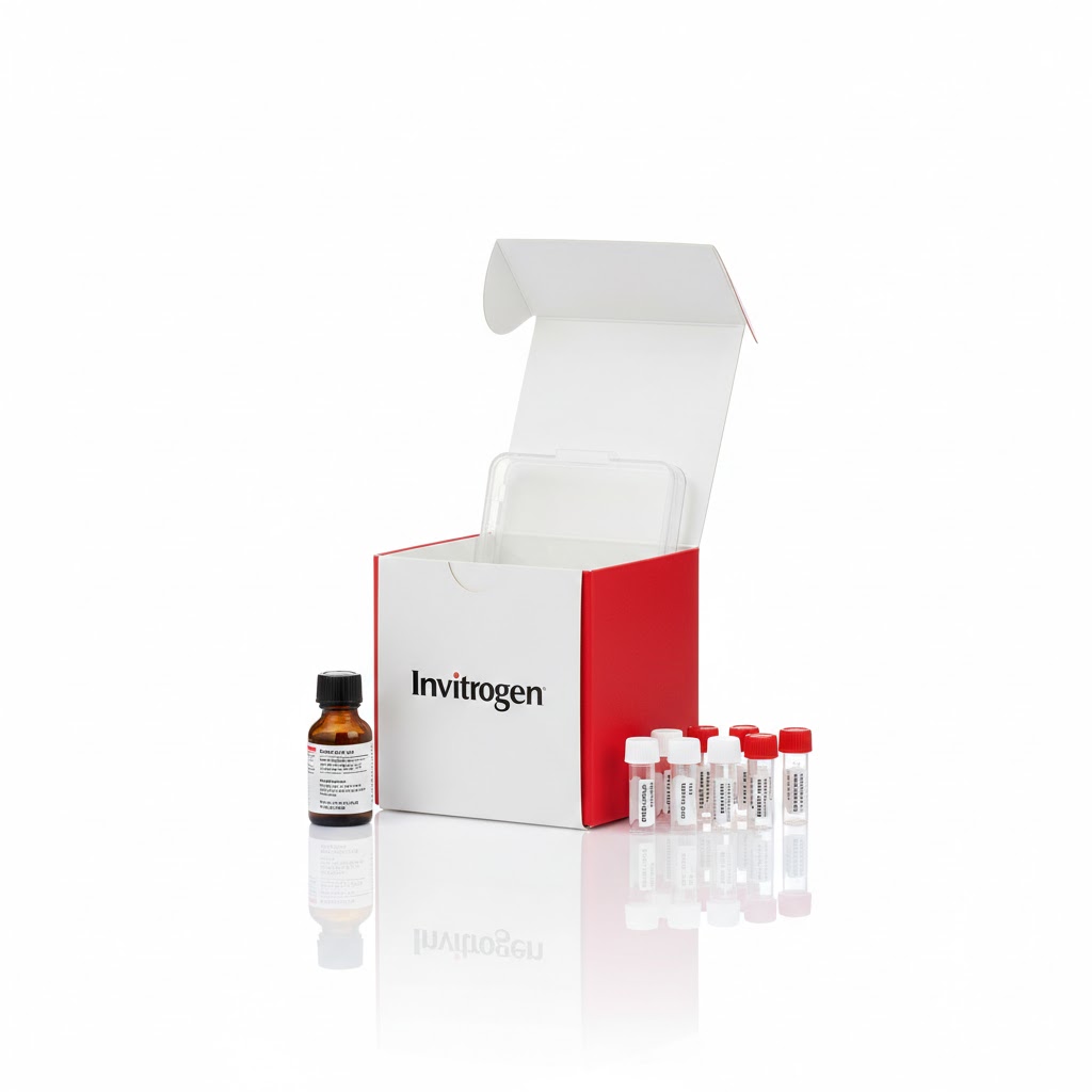Human IFN‑gamma ELISA Kit (96T)