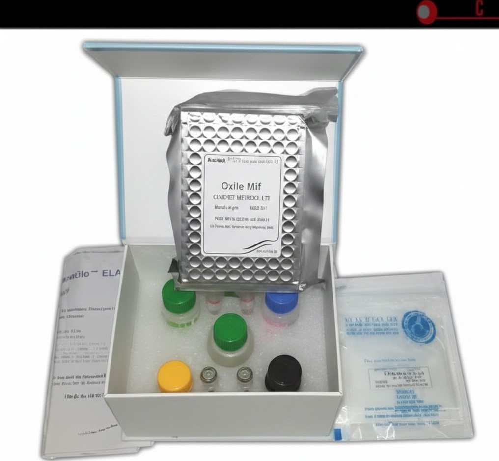 Mouse IL‑12 p70 ELISA Kit (48T)