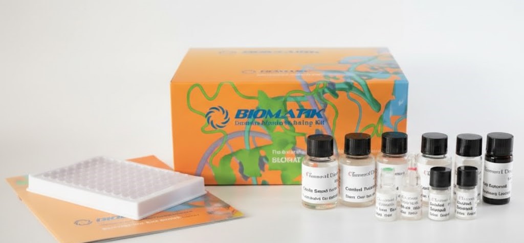 Mouse MMP‑9 ELISA Kit (96T)