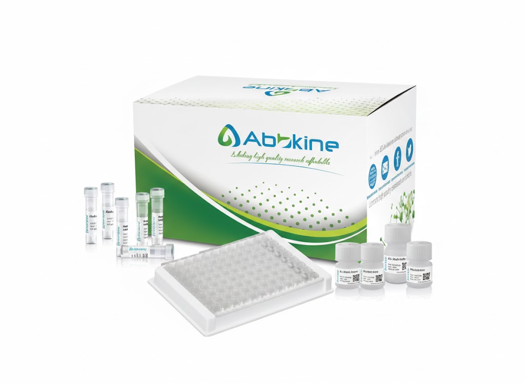 Rat C‑Reactive Protein (CRP) ELISA Kit (48T)