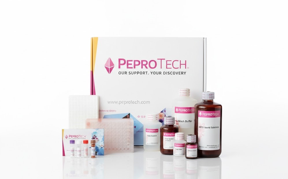 Rat IL‑1 beta ELISA Kit (48T)