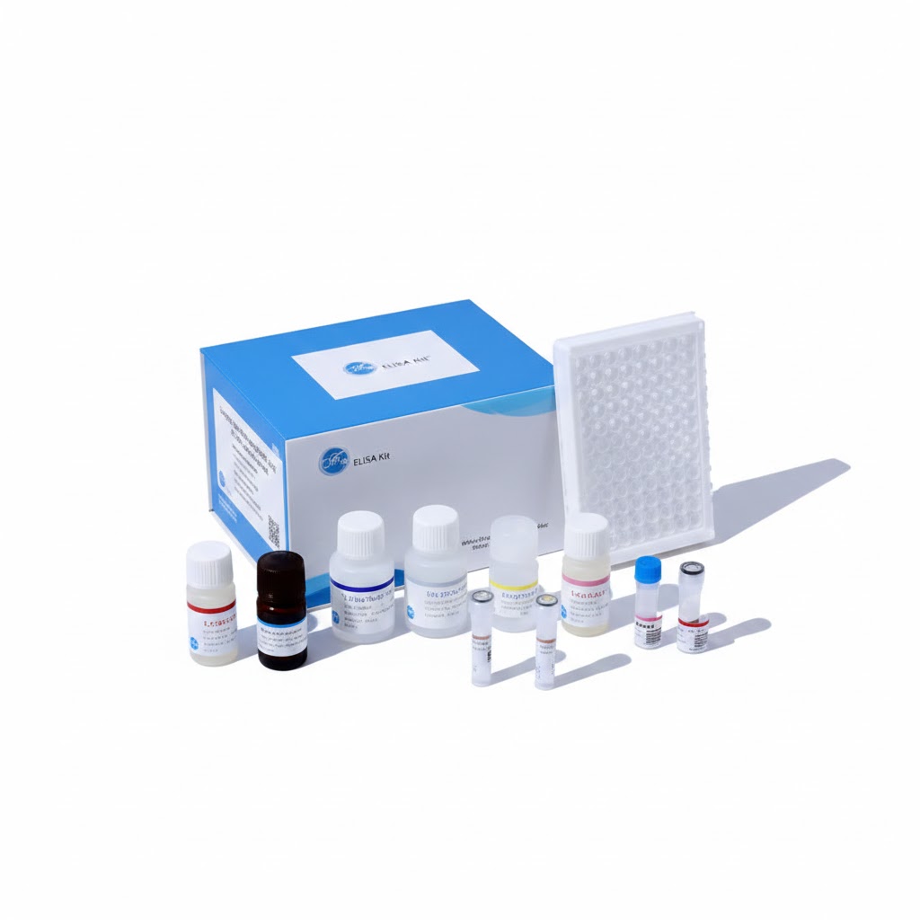 Rat IL‑10 ELISA Kit (96T)
