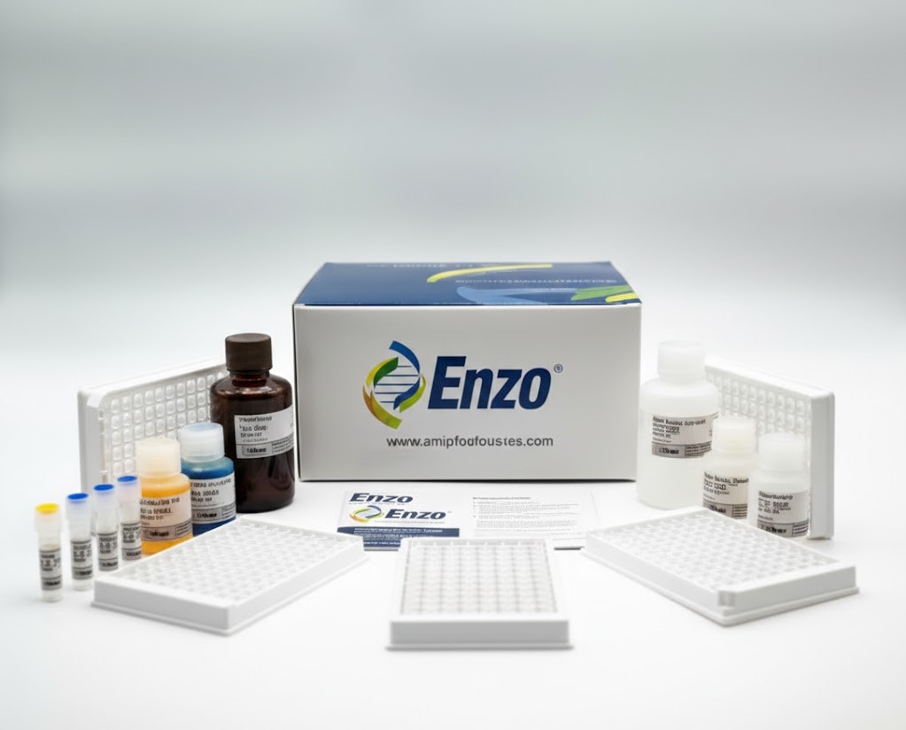 Cortisol ELISA Kit – Common Species (48T)