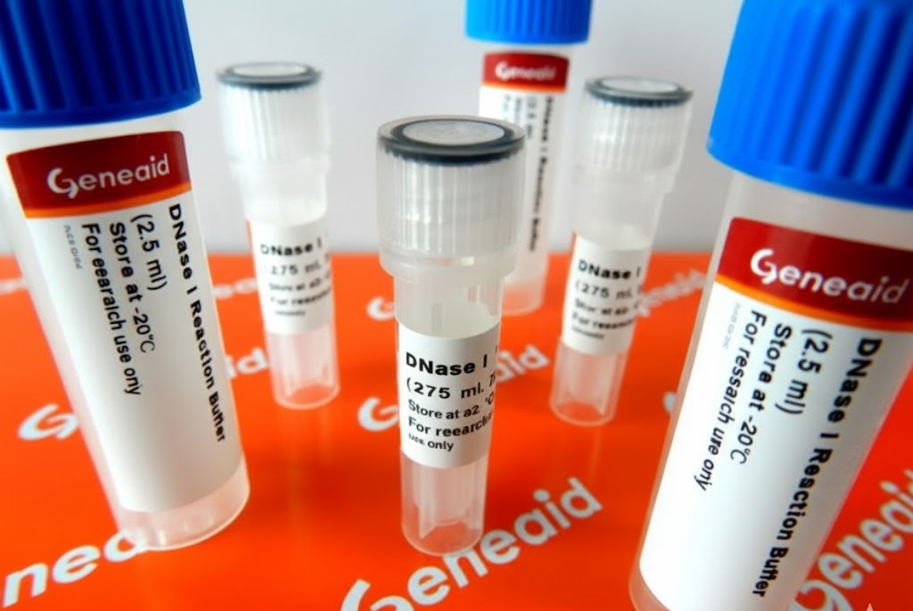 RNA Extraction/Total RNA with DNase