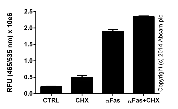 Caspase-8 Activity Detection Kit (Colorimetric) (50T)