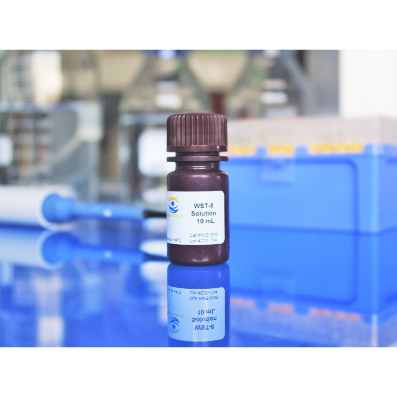 3D Cell Proliferation and Cytotoxicity Assay Kit (WST-8 method) (5 mL)